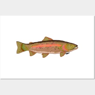 Rainbow Trout Posters and Art